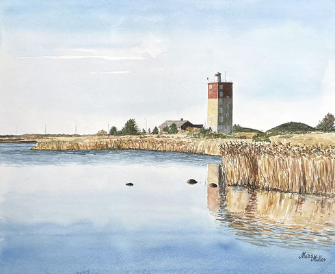 MatsMüller, Rödkallen, 45x37cm