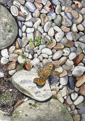 MatsMüller, Stenstrand, 42x30cm