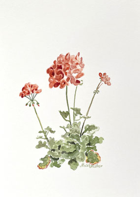 MatsMüller, Blomkort-2, 21x14,5cm