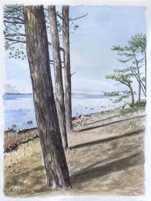 Mats Müller, Kulla-tallar-1, 32x24cm