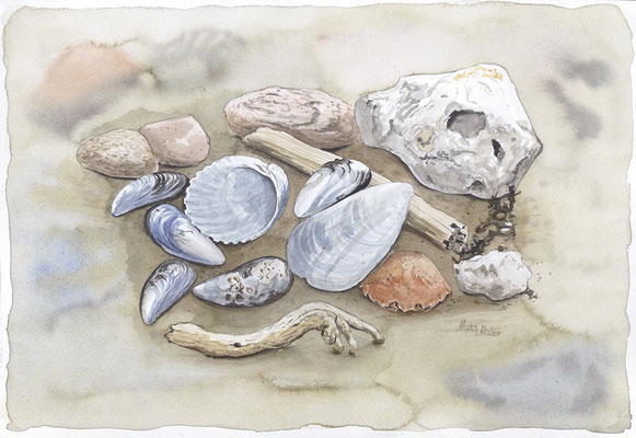 Mats Müller, Strandfynd-8, 40x30cm