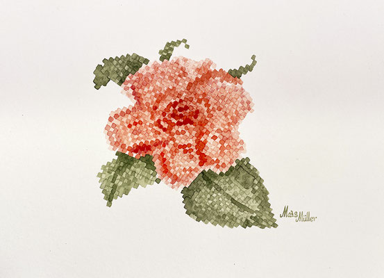 Mats Müller, Ros, 30x21cm