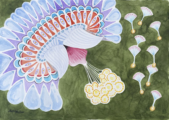 Mats Müller, Full blom 2, 42x30cm