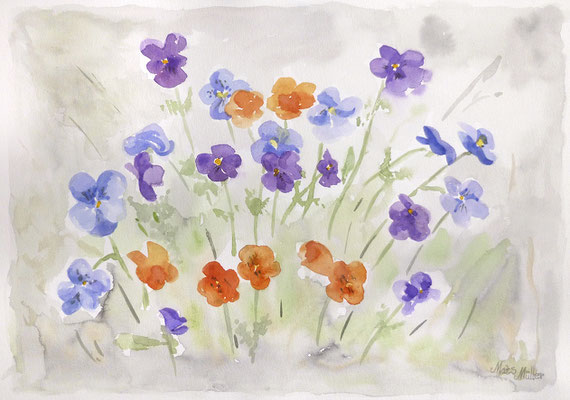 Mats Müller, Penséer, 40x30cm