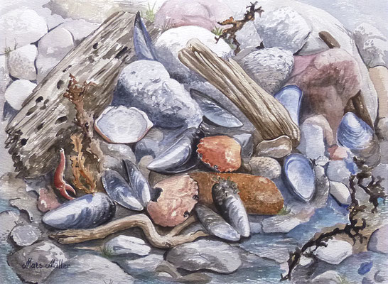 Mats Müller, Strandfynd-7, 40x30cm