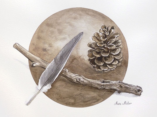 Mats Müller, Fjäder o kotte, 40x30cm