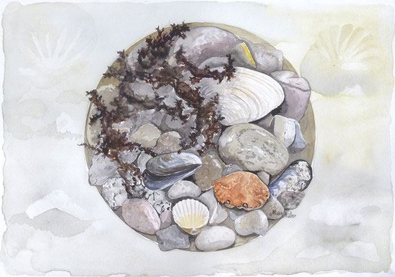 Mats Müller, Strandfynd-1, 40x30cm