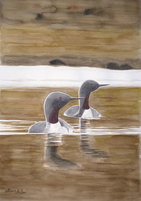 MatsMüller, Smålom, Red-throated Diver, 40x30cm