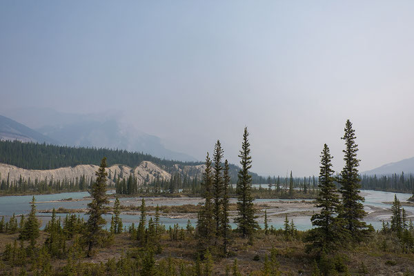 Fluss am Icefields Parkway Alberta Kanada