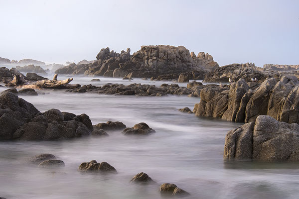 Strand bei Pacific Grove