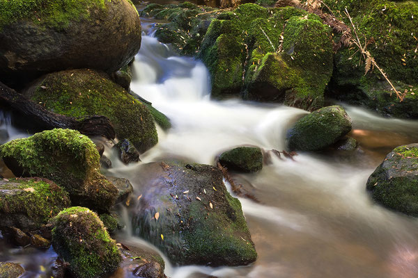 Bach auf Tasmanien, Australien