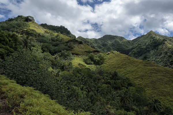 Landschaft von Nuku Hiva/ Marquesas Inseln