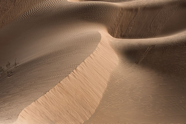 Rub al-Khali - das leere Viertel, Oman