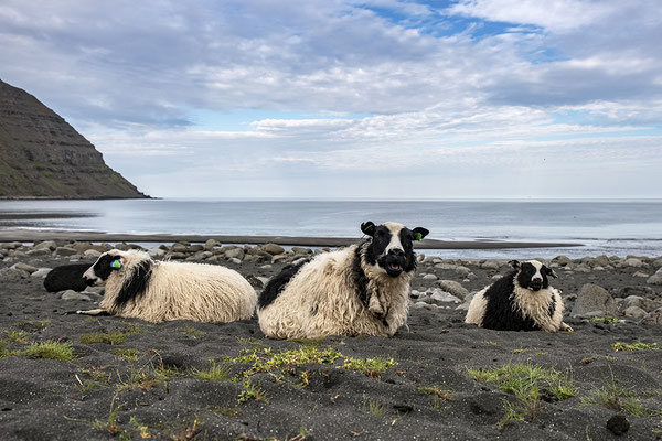 Strand bei Minibakki