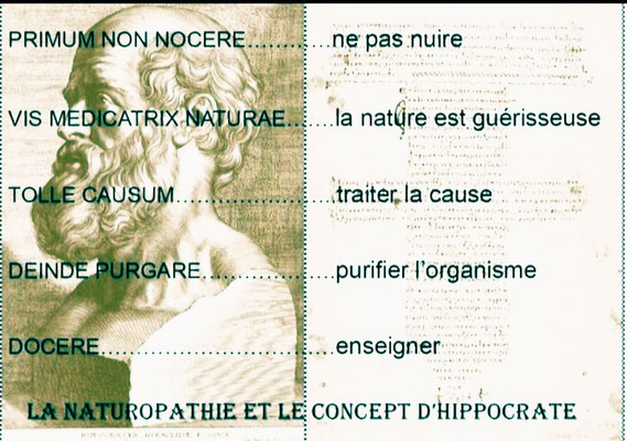 La Naturopathie et le Concept d'Hippocrate