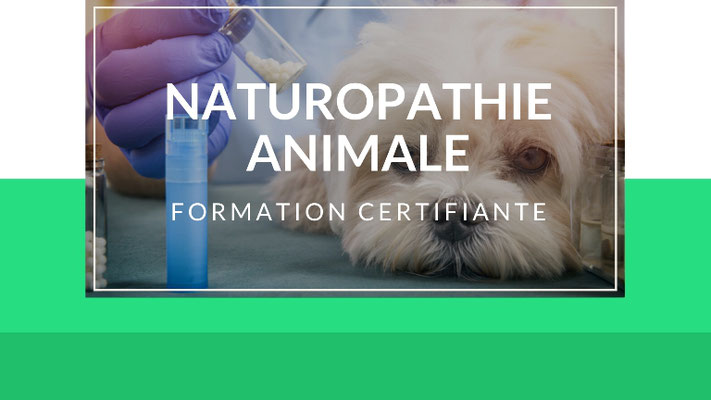 Naturopathie et Phyto-Aromathérapie Animale