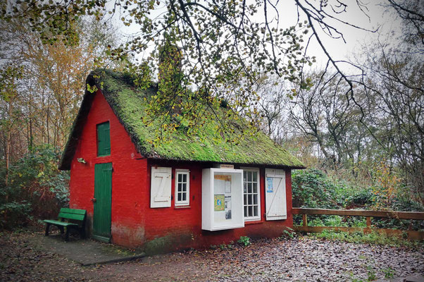 Amrum bei Sturmtief