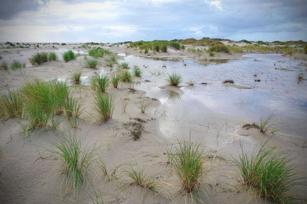 Amrum bei Sturmtief