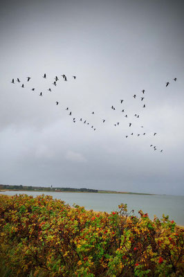 Amrum bei Sturmtief