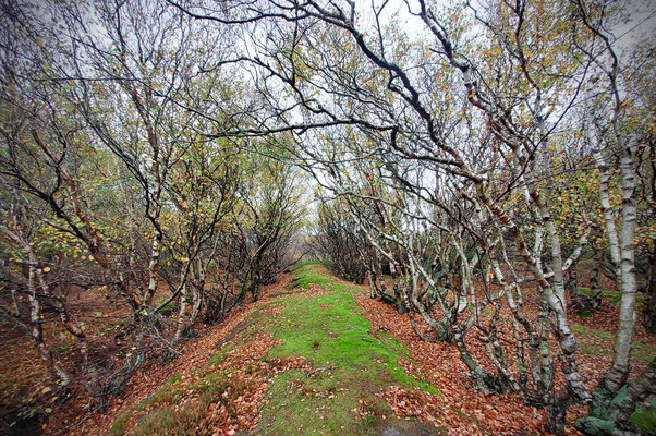 Amrum bei Sturmtief