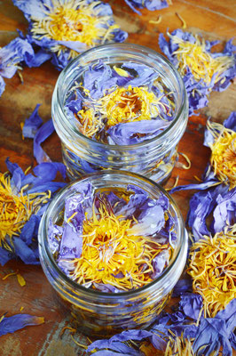 Blue Lotus-Hautöl und Blue Lotus Glyzerit
