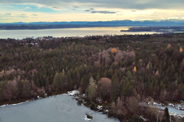 Vogelperspektive, Drohnenfoto, Drohnenbild, Luftaufnahme, Winter, Schnee, Wald, Deixlfurter See, Starnberger See im Hintergrund, Fünfseenland