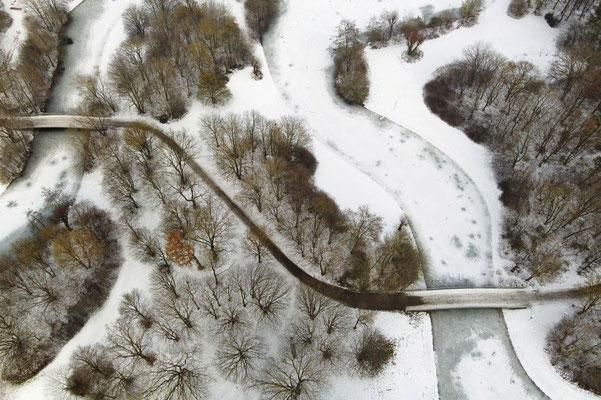 Drohnenfoto - Vogelperspektive - Drohne - Drohnenbild - Luftaufnahme - Weg - Park - Wald - Winter - Schnee