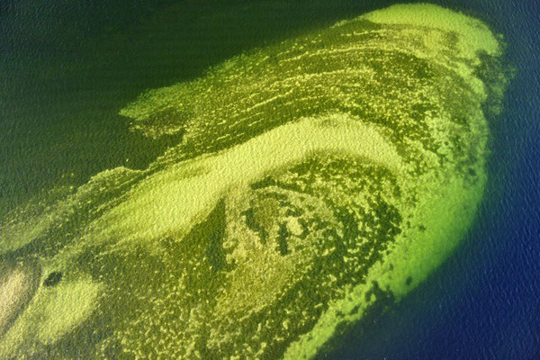 Drohnenfoto - Vogelperspektive - Drohne - Drohnenbild - Luftaufnahme - Formationen - Muster - Fingerabdruck - Insel - Starnberger See - Sommer