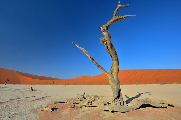 Namibia - Rundfahrt - Reise - Rundreise - Landschaft - Sossusvlei - Sanddünen - Deadvlei