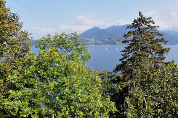 Drohnenfoto - Vogelperspektive - Drohne - Drohnenbild - Luftaufnahme - See - Tegernsee - Bad Wiessee