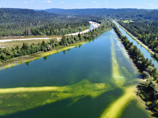 Drohnenfoto - Vogelperspektive - Drohne - Drohnenbild - Luftaufnahme - Fluss - See - Isar - Ickinger Weiher - Icking - Isarkanal