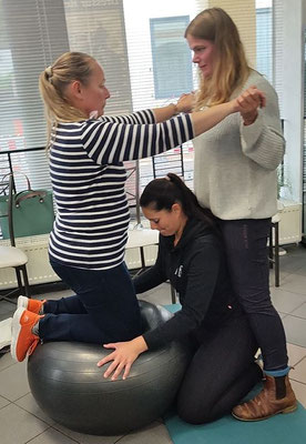Balancetraining Dressur Reitsimulator