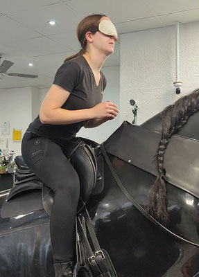 Reitsimulator