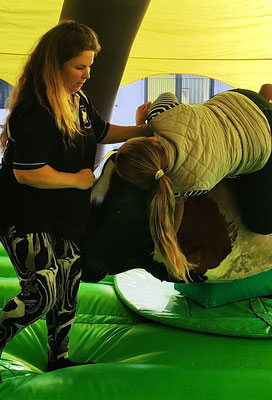 Rodeo Bulle Dressur Reitsimulator