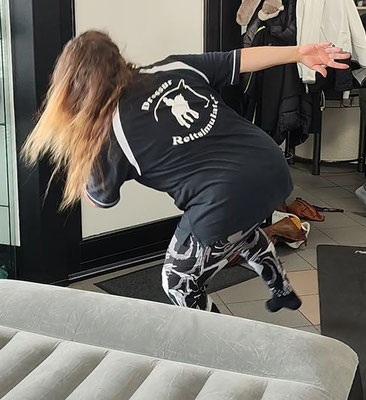 Falltraining Dressur Reitsimulator