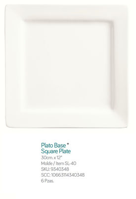 PLATO BASE WORLD 12" TABLEWARE