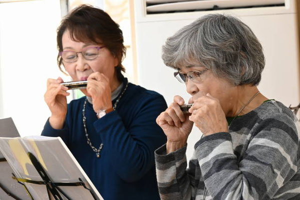 コスモス（冨澤・松尾）→花のメルヘン