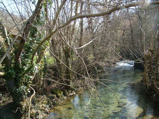 Le terrain du gîte de Montredon à Salles la source entre Rodez et Conques en Aveyron