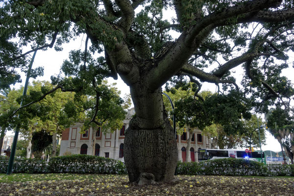 Stadtpark von Málaga