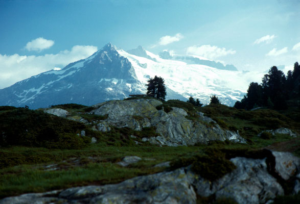 Riederalp mit Geisshorn (3740m) im Hintergrund