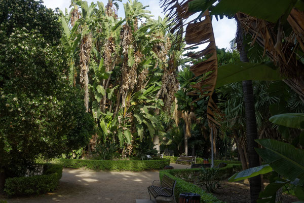 Stadtpark von Málaga