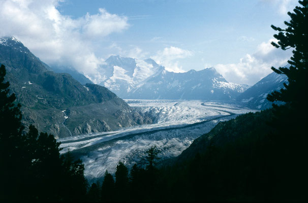 Der Große Aletschgletscher