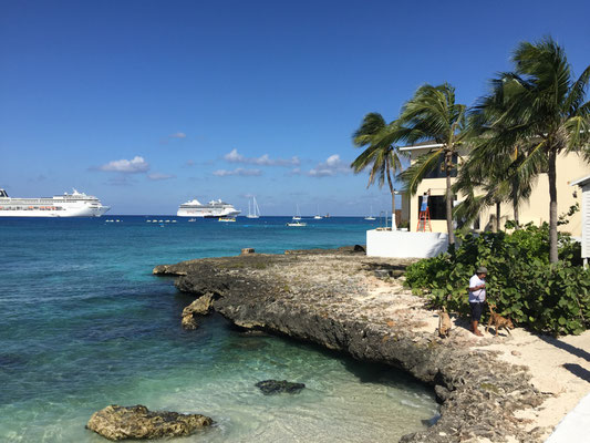 Kreuzfahrtschiffe vor Grand Cayman