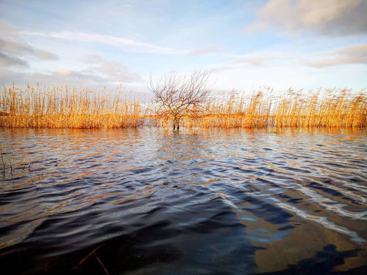 Hochwasser