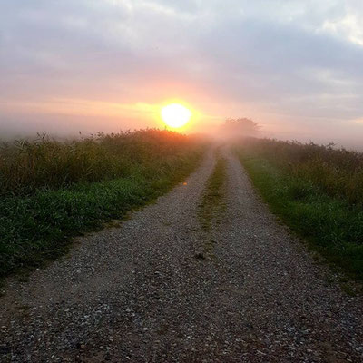 Morgenstimmung im Nebel