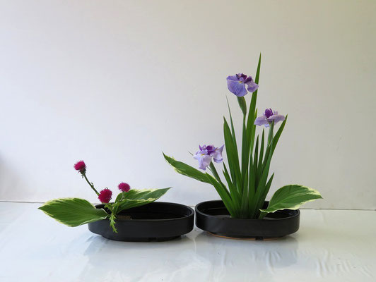 2025/5/7　＜花菖蒲　アザミ　擬宝珠（ギボウシ）＞　お花屋さんから届いたアザミは葉の状態が悪く使えませんでした。とても残念でした。
