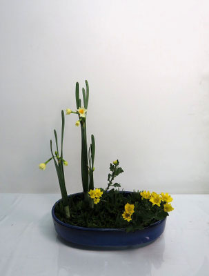 2025/12/10　＜水仙　小菊　ヒカゲ＞