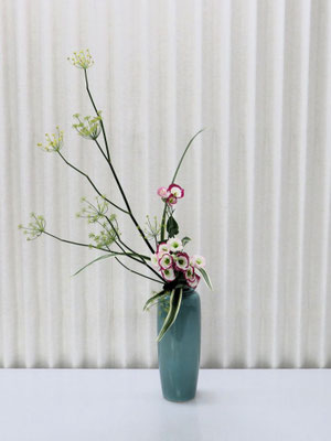 2025/8/5　＜茴香　スプレートルコ桔梗　桔梗蘭＞