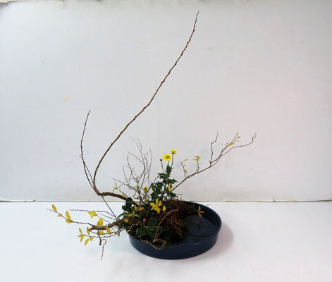 2025/12/3　＜石化柳　雪柳　小菊　クリスマスホーリー　ミリオグラタス　枯れ松葉＞