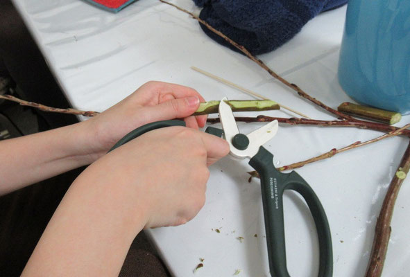 花バサミは、色々な使い方ができます。枝の留め木を作っているRikuくんです。